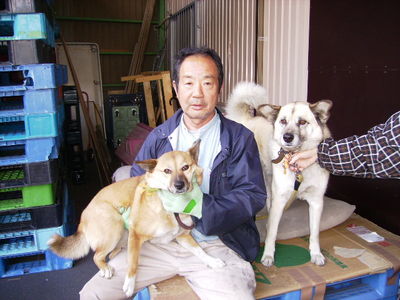 三浦さんと愛犬ゴン、モモ