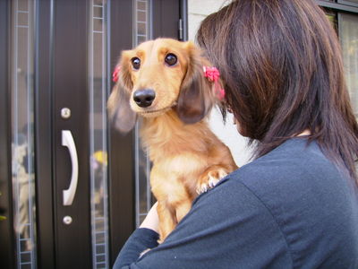 上田さんと愛犬ロコ