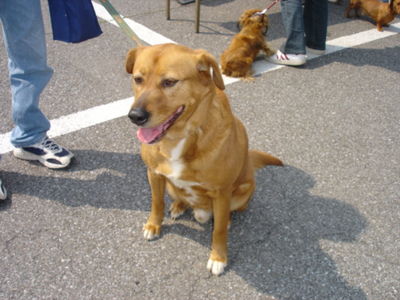 鈴木さんと愛犬クー