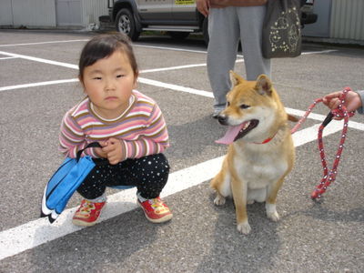 泉さんと愛犬もも子