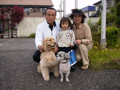 愛犬マック、ココ