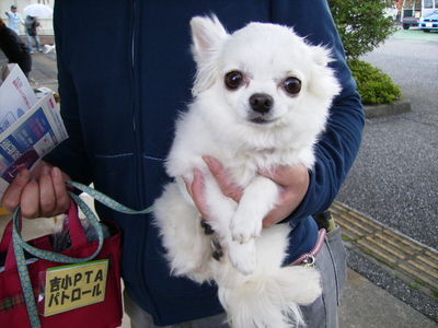 浅井さんと愛犬クルミ