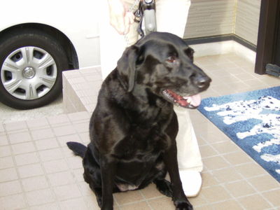 末延さんと愛犬シンディ