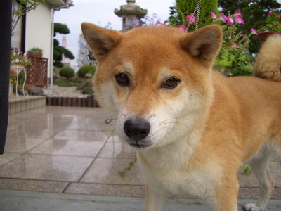 会員の希望により掲載しておりません