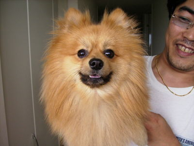 北條さんと愛犬零