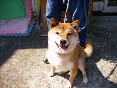 山崎さんと愛犬レオ