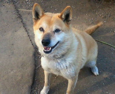 尾上さんと愛犬ジョン
