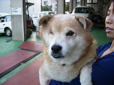 関口さんと愛犬ミッキー