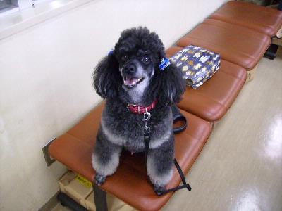 迫田さんと愛犬ハッピー