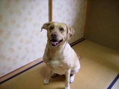 清水さんと愛犬ハッピー