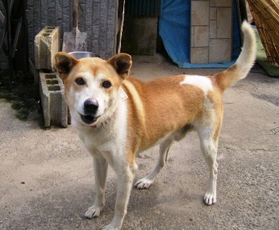 増田さんと愛犬ミヤジ