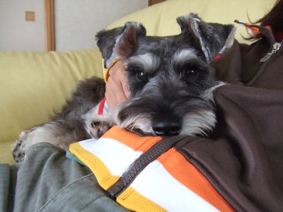 石塚さんと愛犬マロン