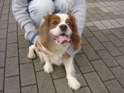 保科さんと愛犬ミント