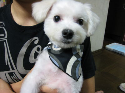 福岡さんと愛犬じじ