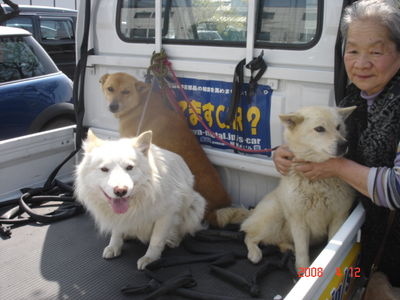 犬写真