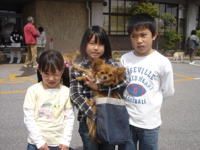 犬写真