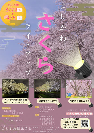 桜のライトアップについての概要