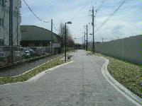 栄小学校西側道路の写真