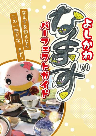 なまずパーフェクトガイド