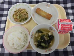5月16日小学生