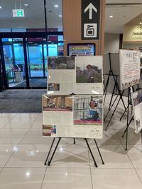 イオンタウン吉川美南の展示の様子