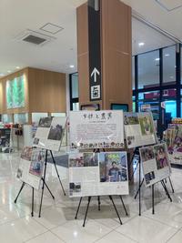 イオンタウン吉川美南の展示の様子