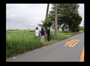 整備前の雑草に囲まれた協同碑を視察する市長