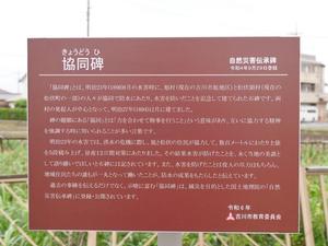 協同碑脇に立てた解説板