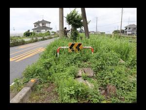 整備前の雑草に囲まれた協同碑
