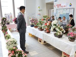 展示されたさつきを鑑賞する市長
