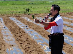 植付方法を説明する市長