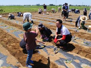 参加者と一緒に植付をする市長