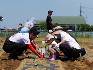 参加者と一緒に植付をする市長