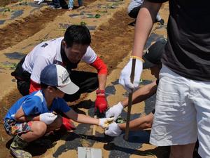 参加者と一緒に植付をする市長