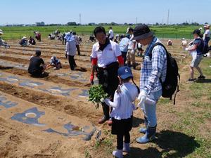 参加者と一緒に植付をする市長