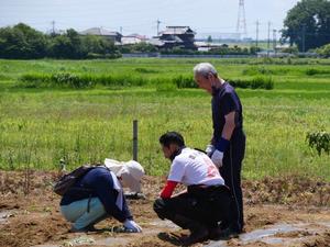 参加者と一緒に植付をする市長
