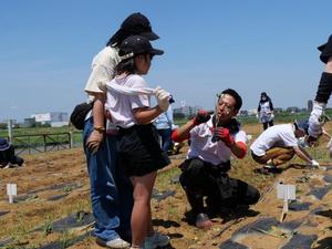 参加者と一緒に植付をする市長