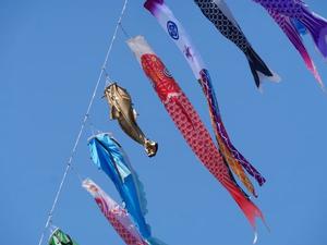 クレーン鯉のぼり鯰のぼりイベントのときの画像