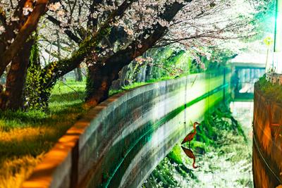 佳作　ちょっと、ひと休み　芥川芳江