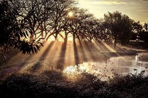 よしかわ観光協会フォトコンテスト2025入賞作品