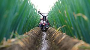 よしかわ観光協会フォトコンテスト2025入賞作品