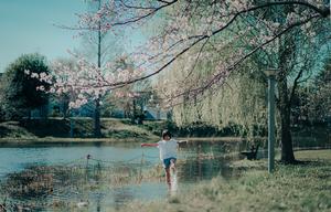 よしかわ観光協会フォトコンテスト2025入賞作品