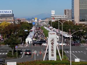 羽島駅から見下ろした会場全体の様子