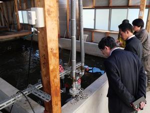 はしま北なまず養殖場内を視察する市長