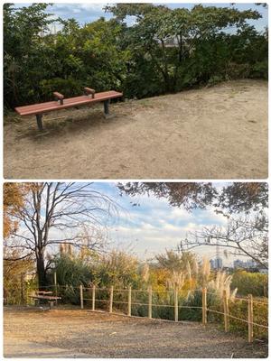 木柵を設置したベンチ周辺のビフォーアフター写真