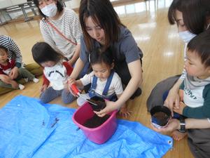 ママと一緒にひまわりの種植えをしている女の子の様子