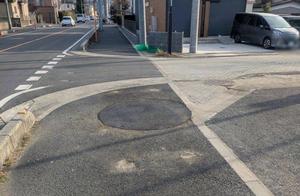 切り株を撤去して整備された歩道