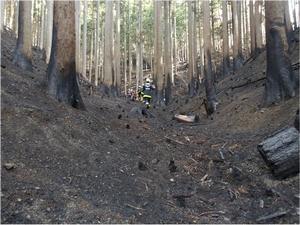被災地での活動の様子