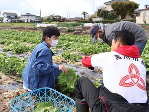 レタスの収穫作業をしながら吉澤大地さんにお話を伺う市長