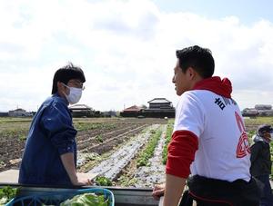 レタスの収穫作業をしながら吉澤大地さんにお話を伺う市長
